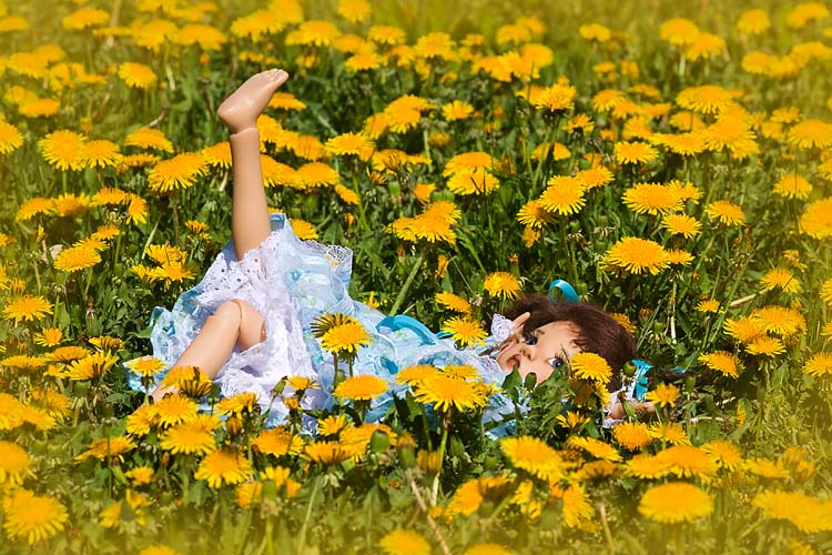 Miki in the Dandelions